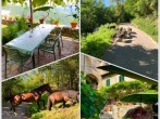 Outdoors collage